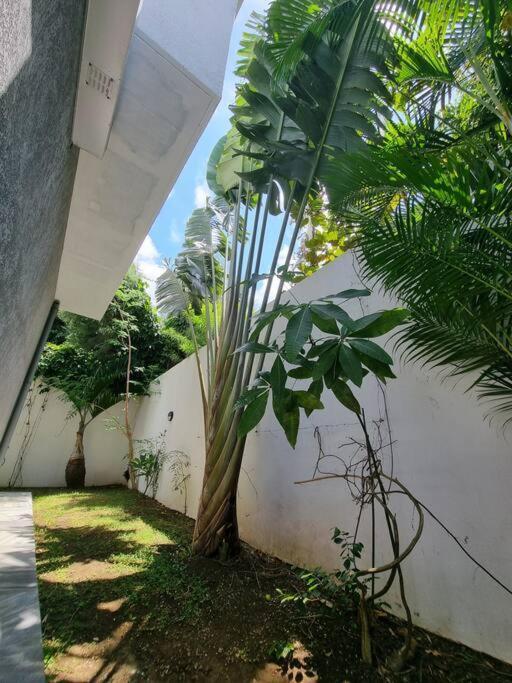 Villa Fleur De Coco - 8P. - Piscine Privee - Haut Standing Saint Pierre Exterior photo